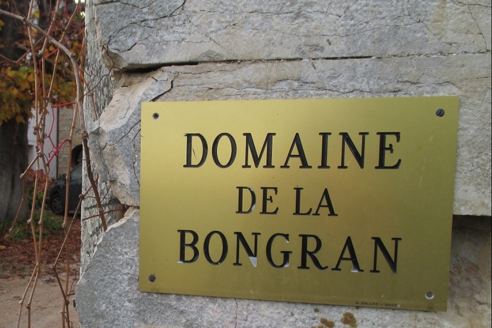 Domaine de la Bongran